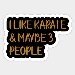 I Like Karate And Maybe 3 People Sticker